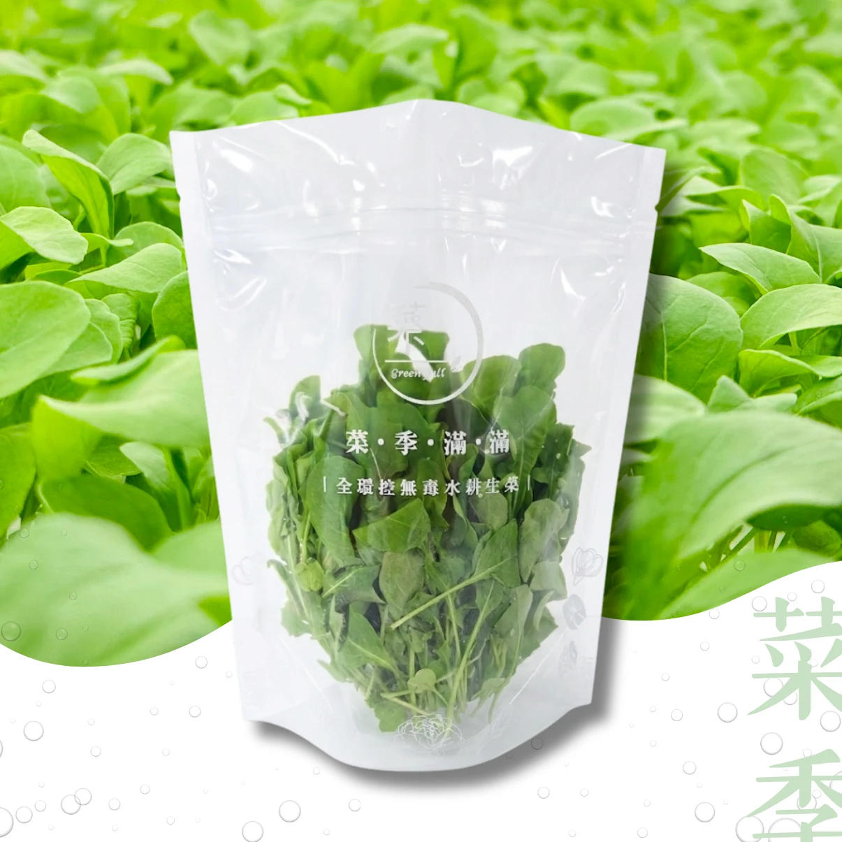 芝麻葉