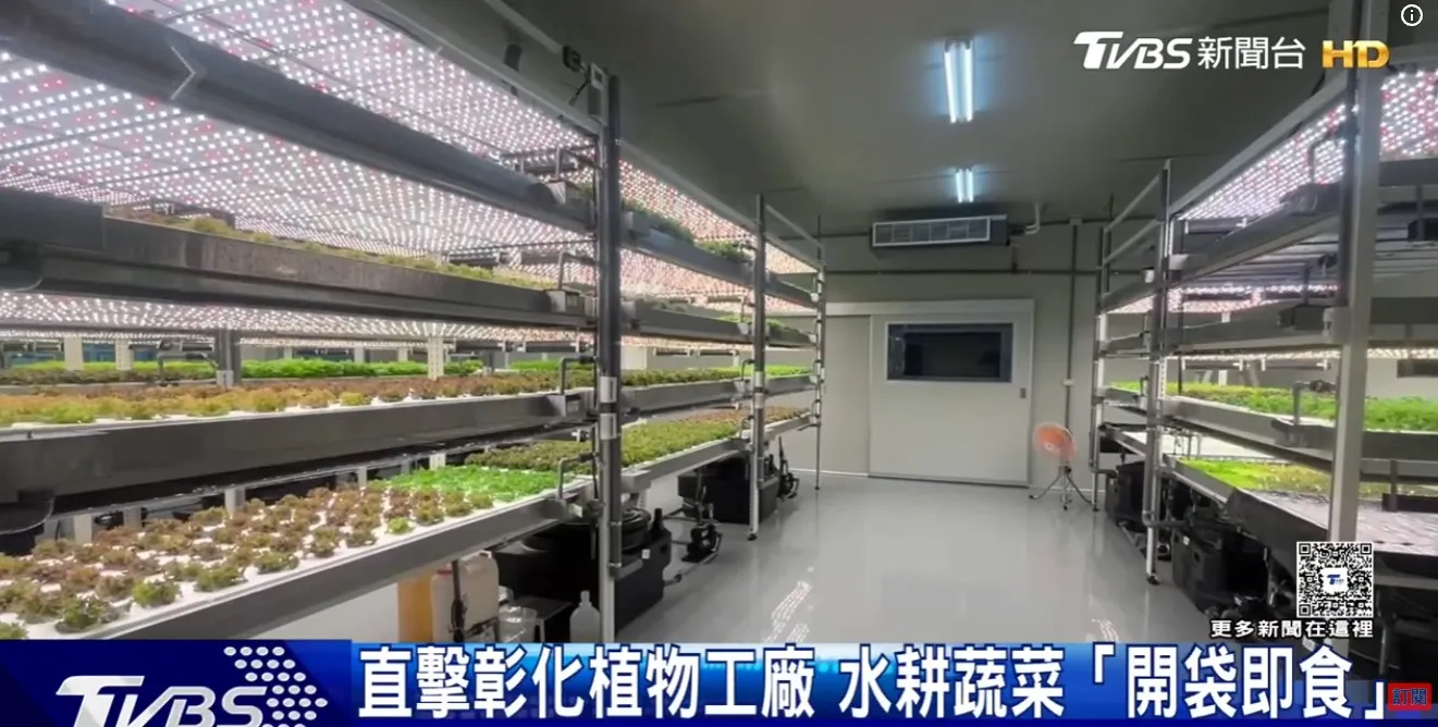 植物工廠種菜免洗直接吃!