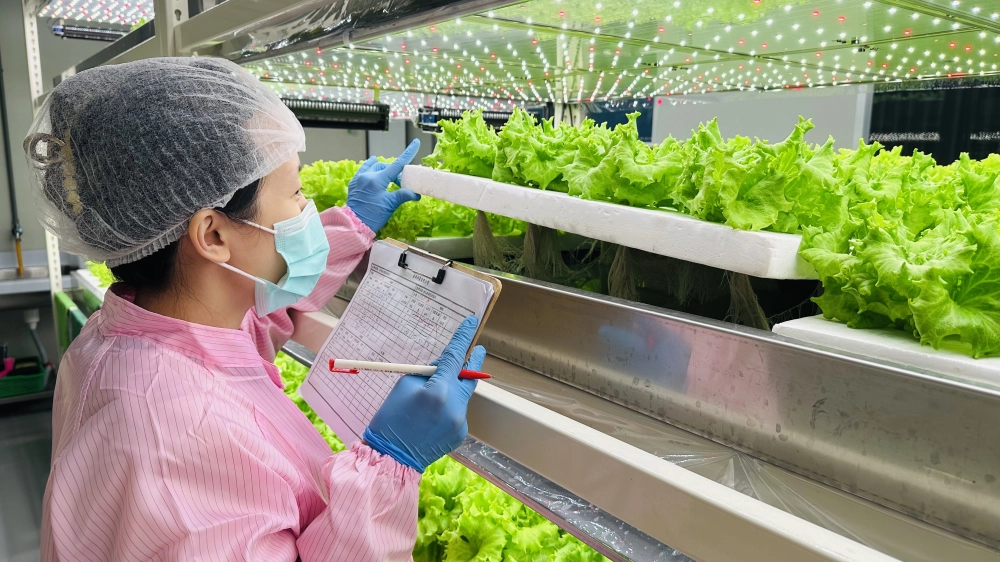 成長管理-巡場檢視