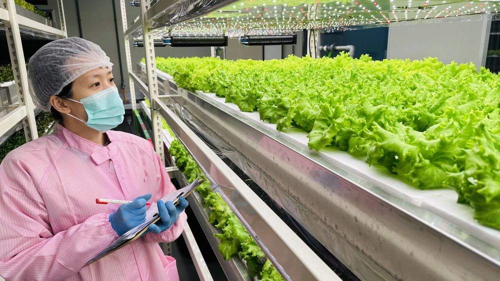 成長管理-測量檢視