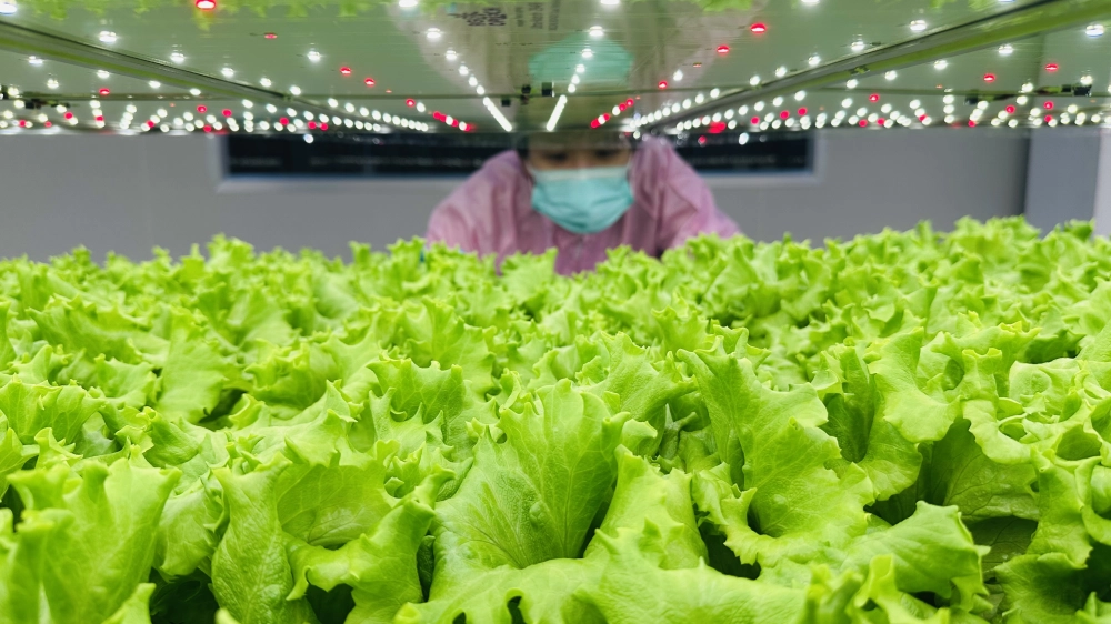 成長管理-巡場檢視