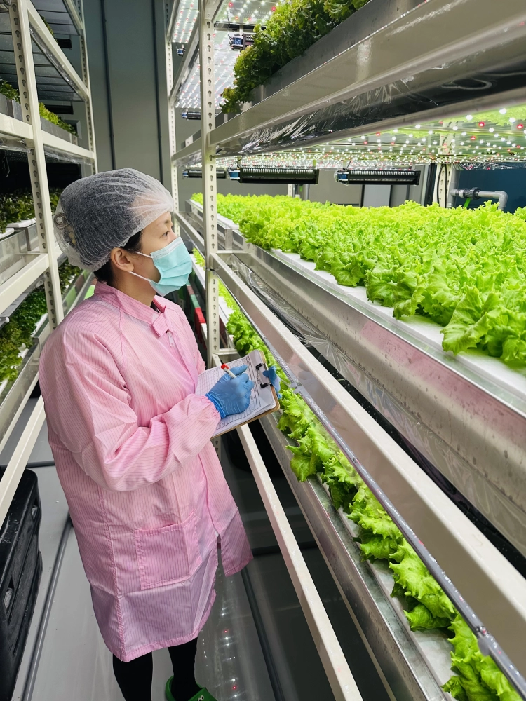 成長管理-測量檢視