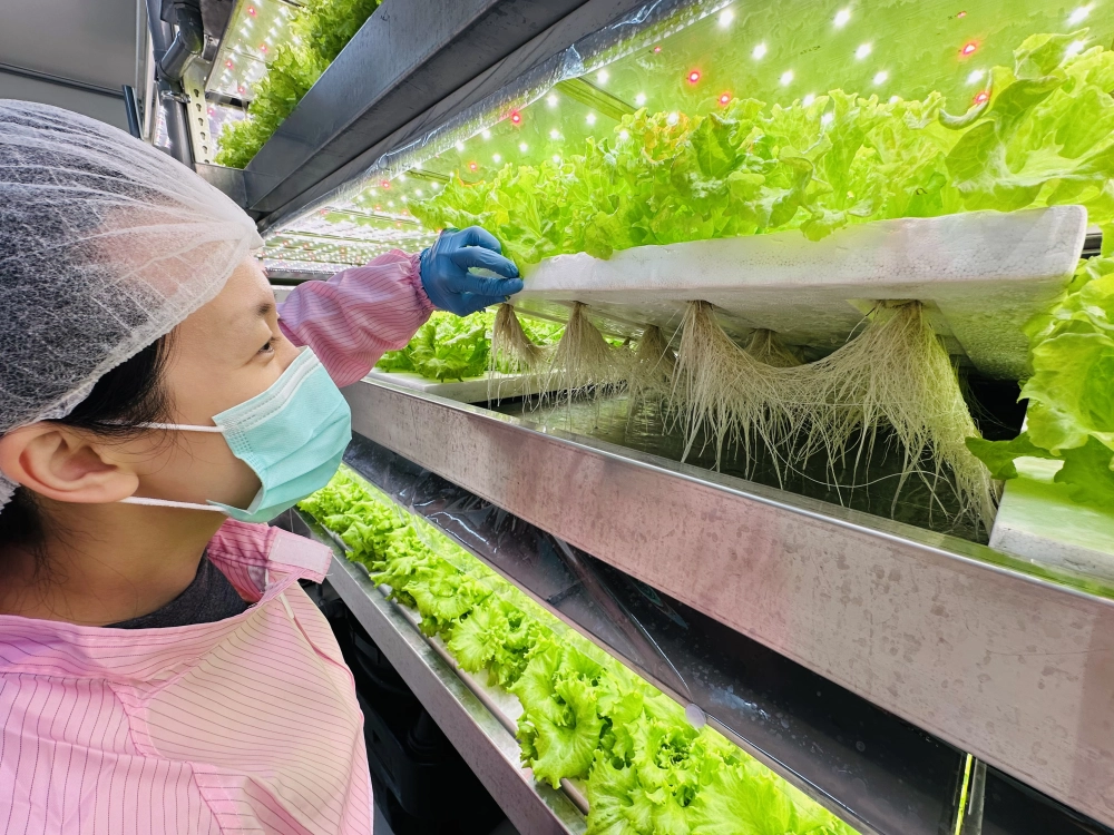 成長管理-巡場檢視