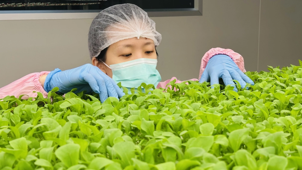 成長管理-巡場檢視