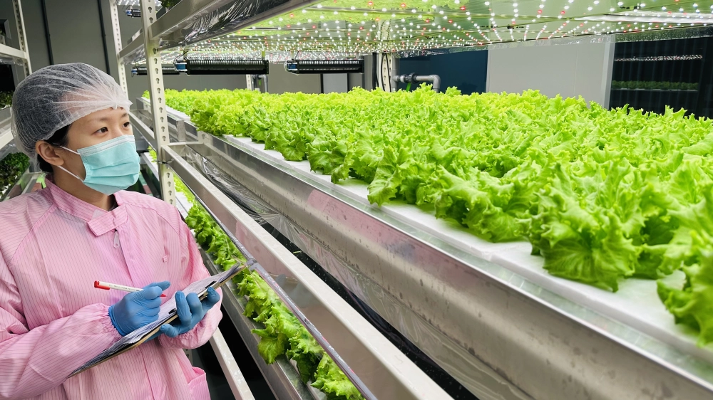 成長管理-測量檢視