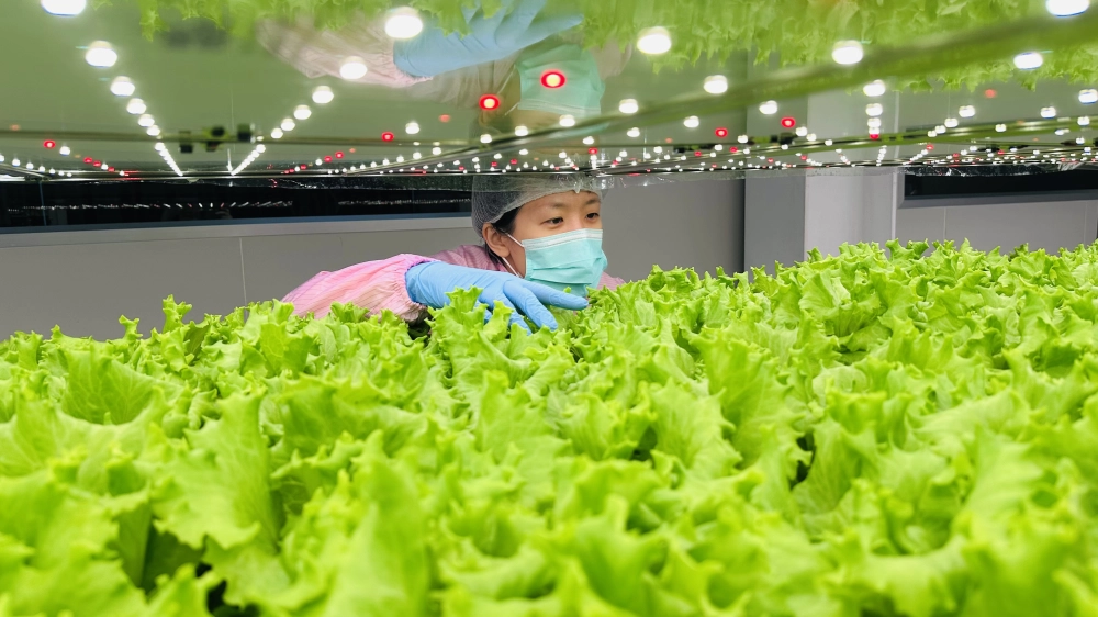 成長管理-巡場檢視