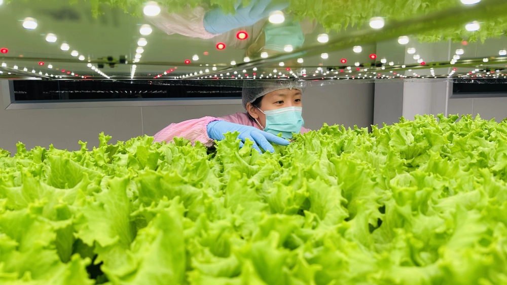 成長管理-巡場檢視