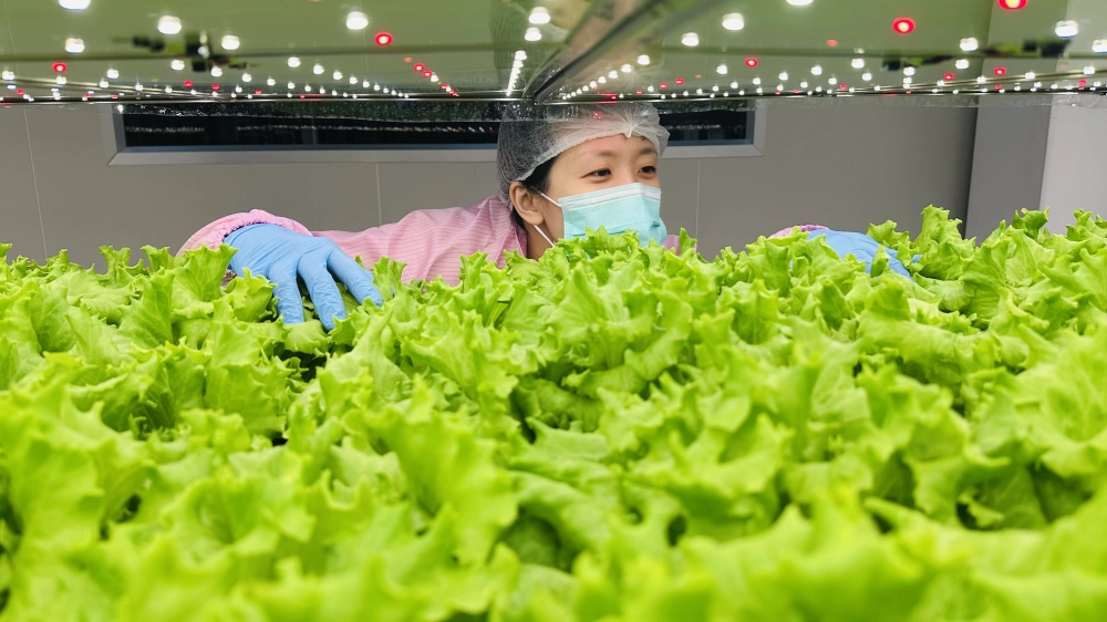 成長管理-巡場檢視