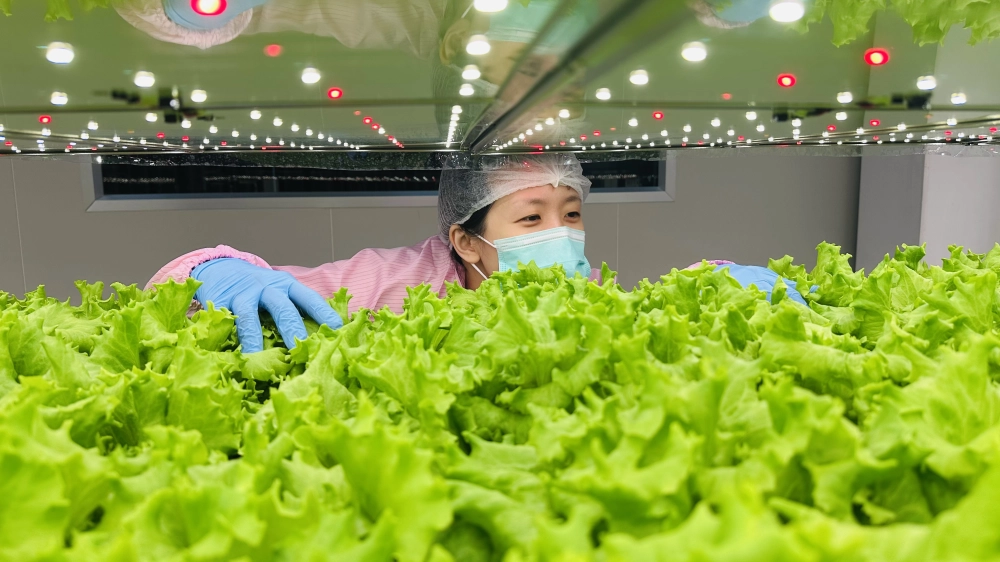 成長管理-巡場檢視