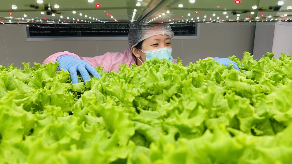 成長管理-巡場檢視