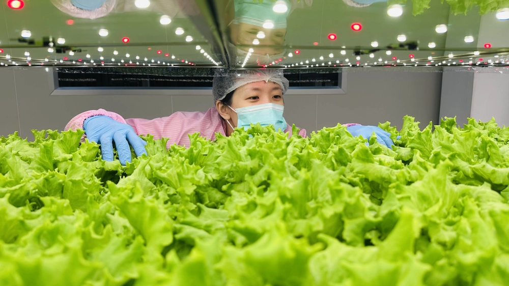 成長管理-巡場檢視