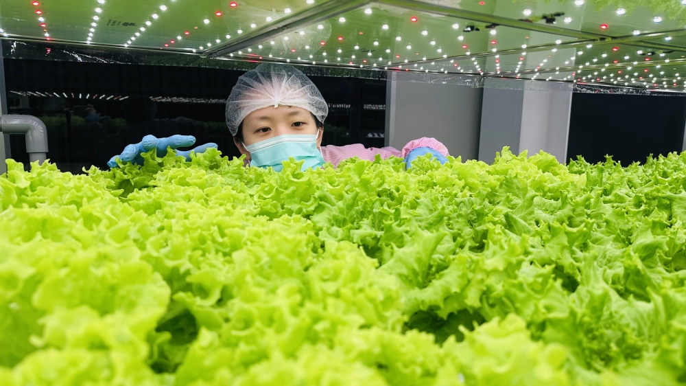 成長管理-巡場檢視