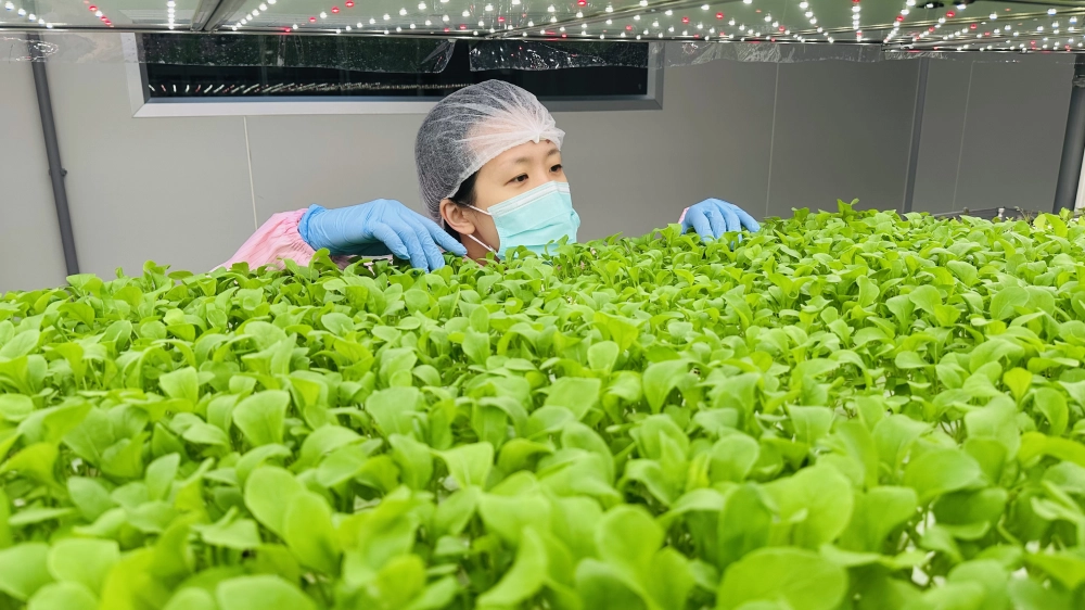 成長管理-巡場檢視