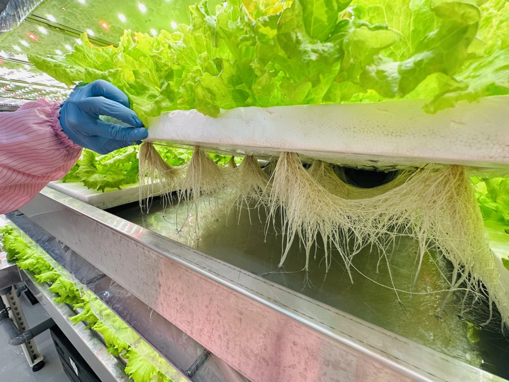 成長管理-巡場檢視