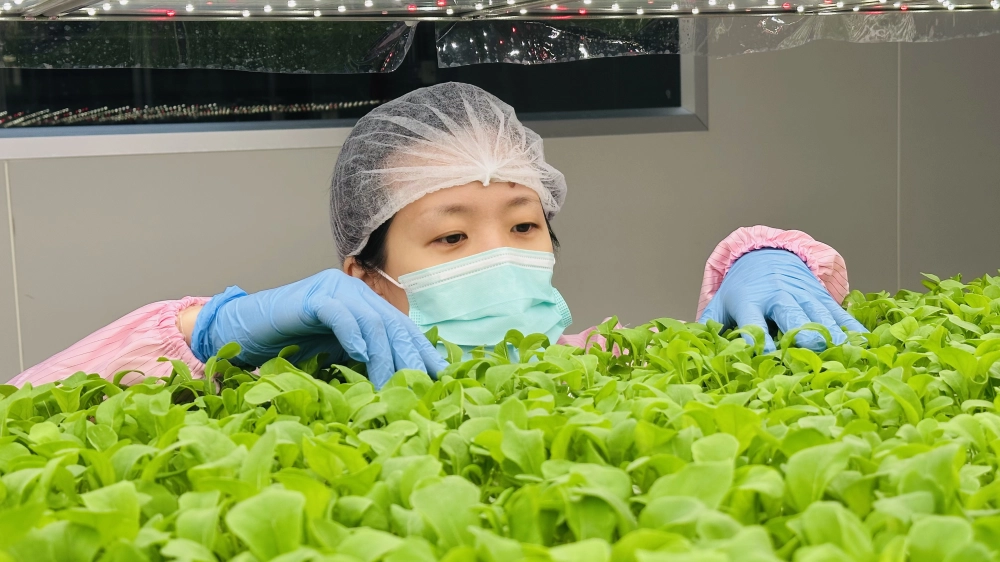 成長管理-巡場檢視