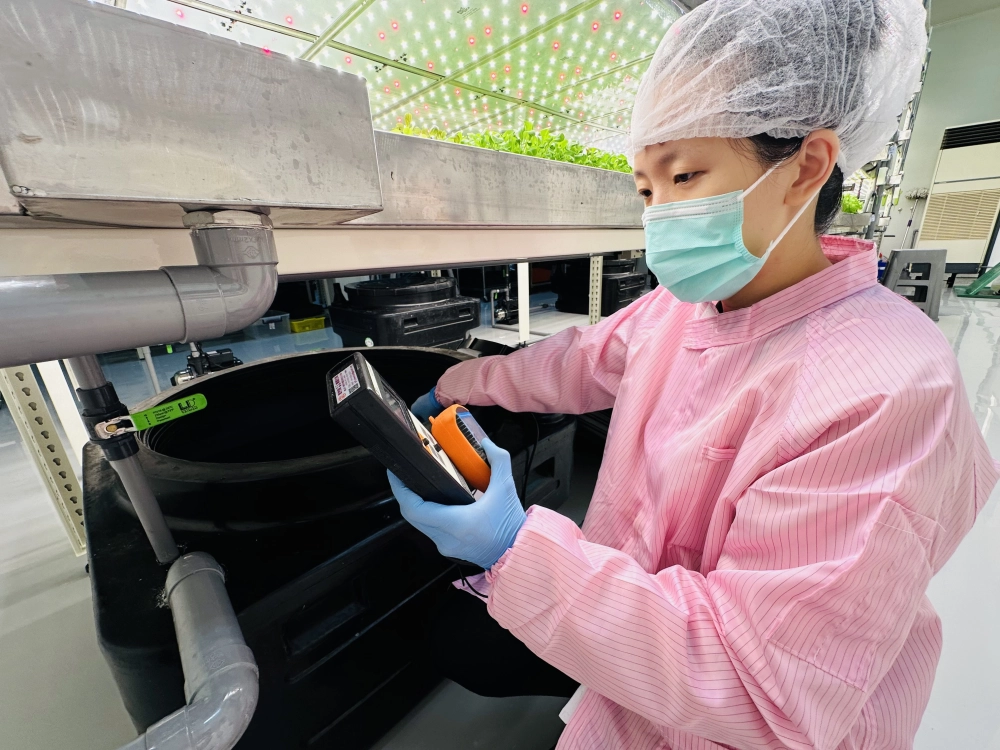 成長管理-測量檢視