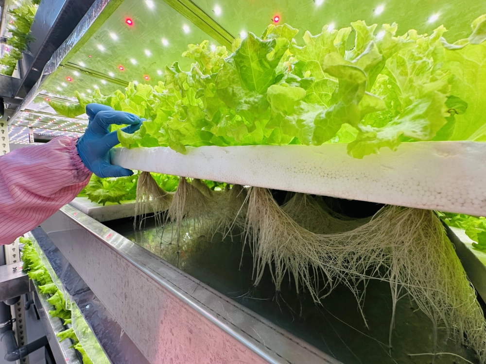 成長管理-巡場檢視