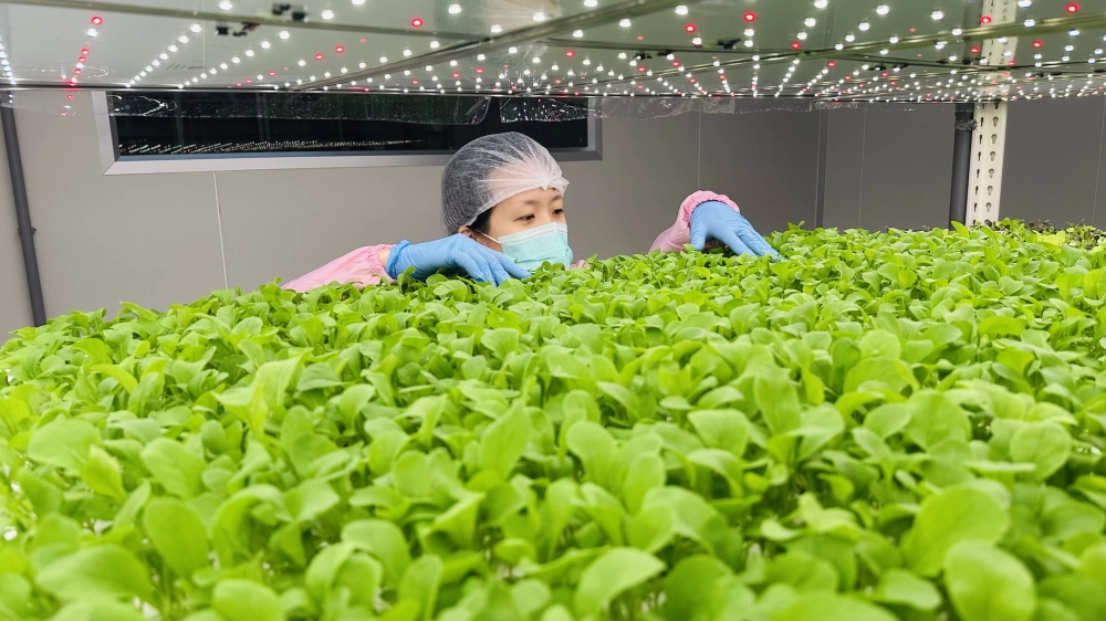 成長管理-巡場檢視