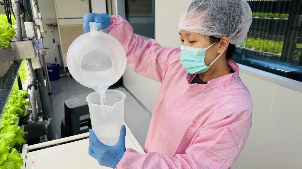 成長管理-測量檢視