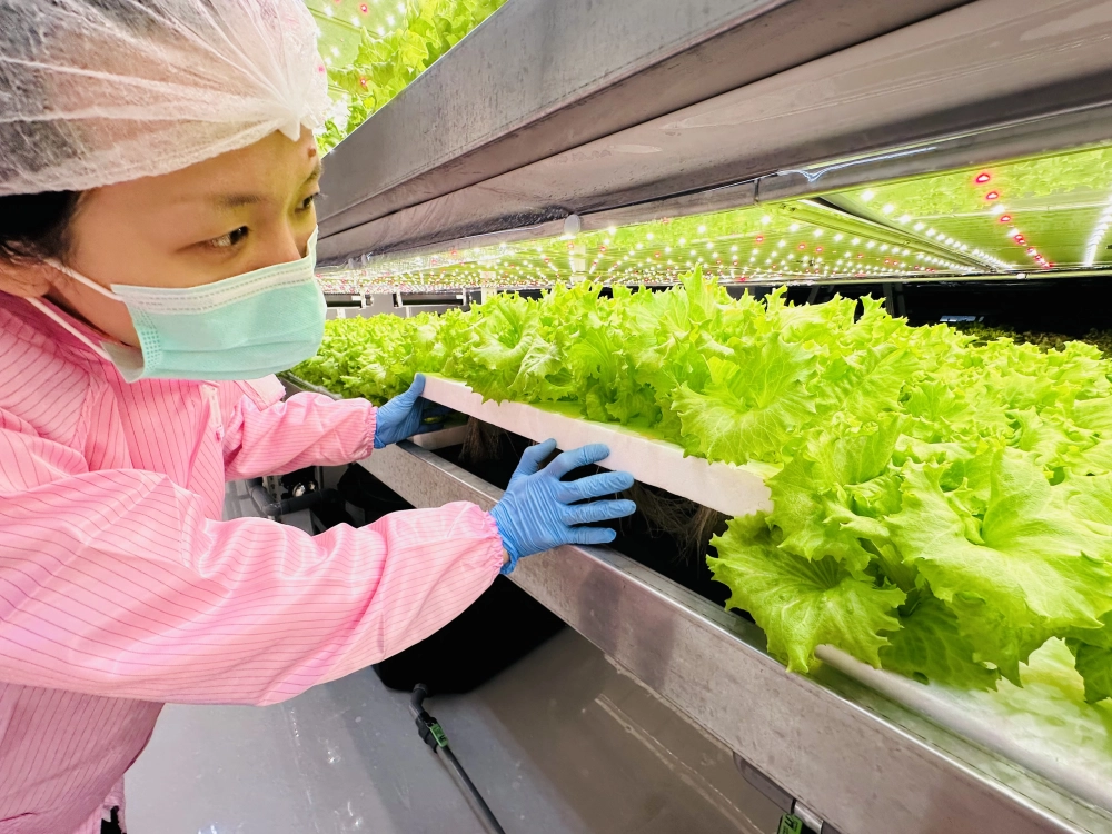 成長管理-巡場檢視