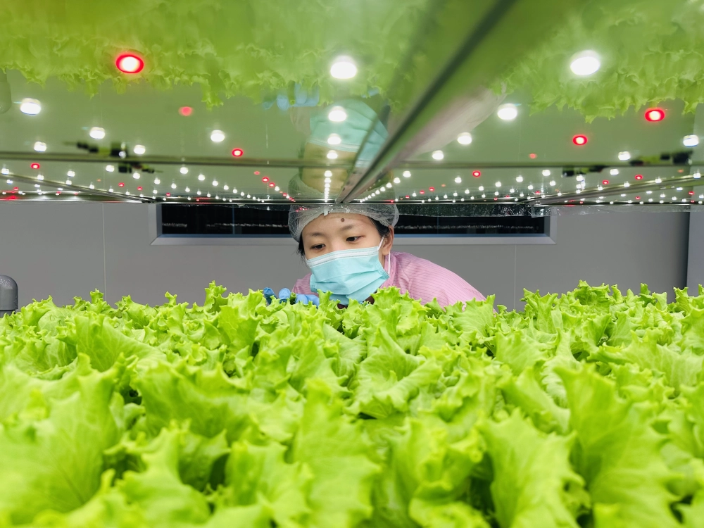 成長管理-巡場檢視