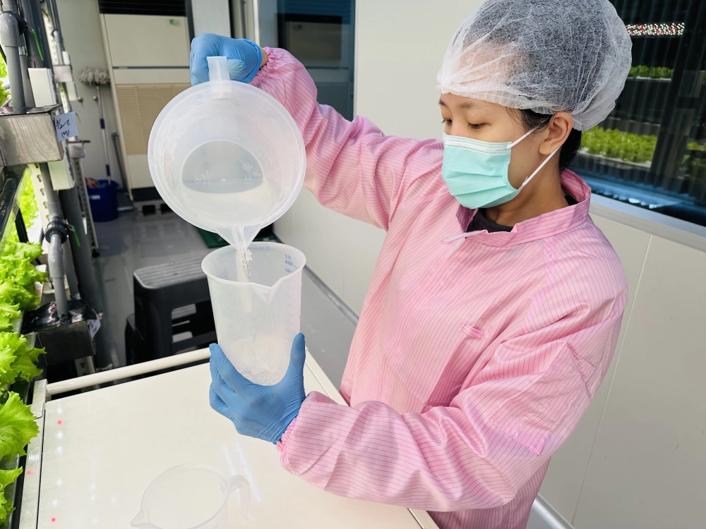 成長管理-測量檢視