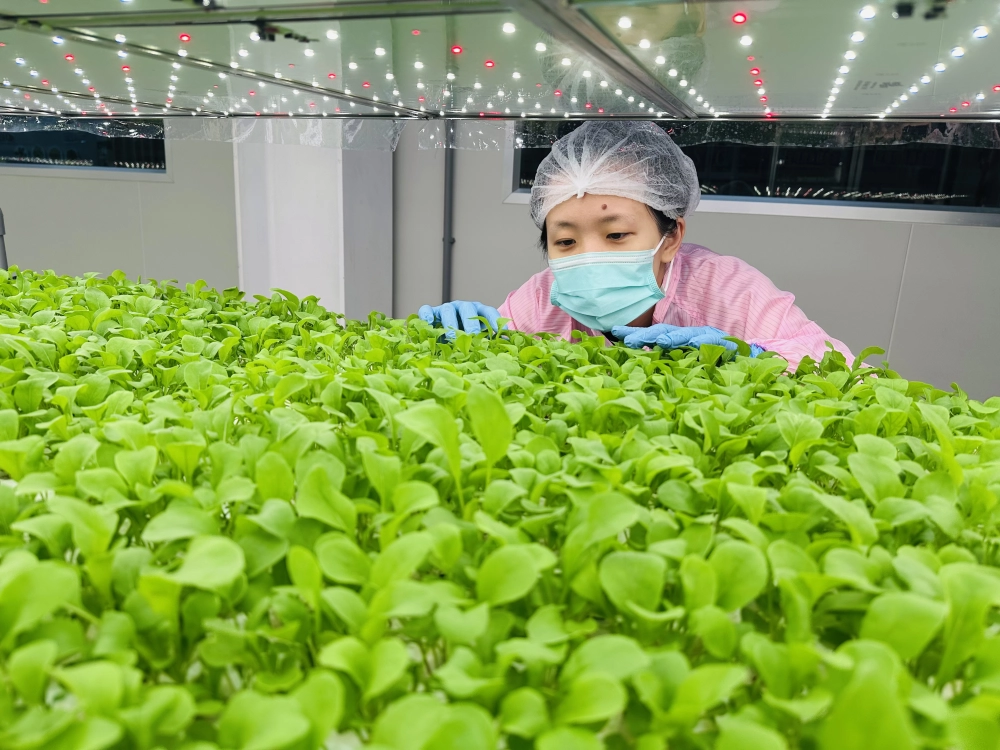 成長管理-巡場檢視