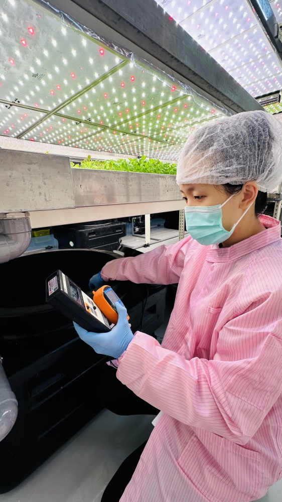 成長管理-測量檢視