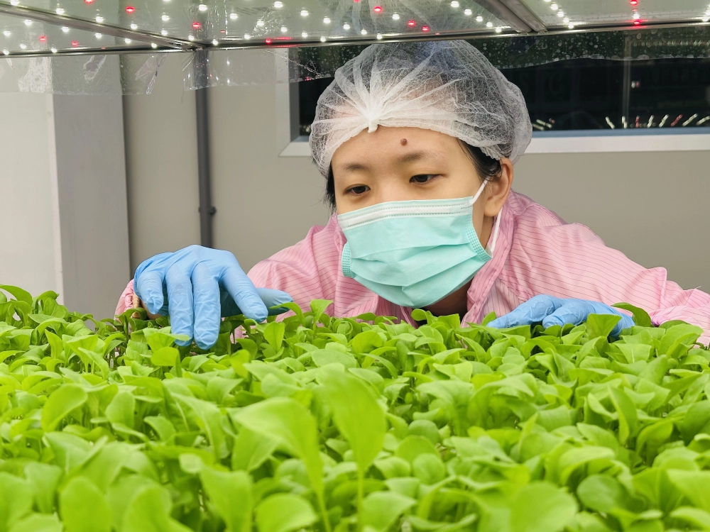 成長管理-巡場檢視