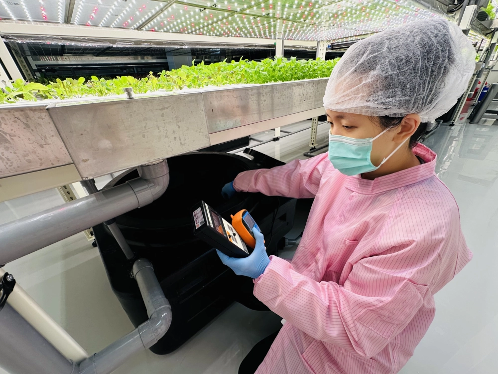 成長管理-測量檢視