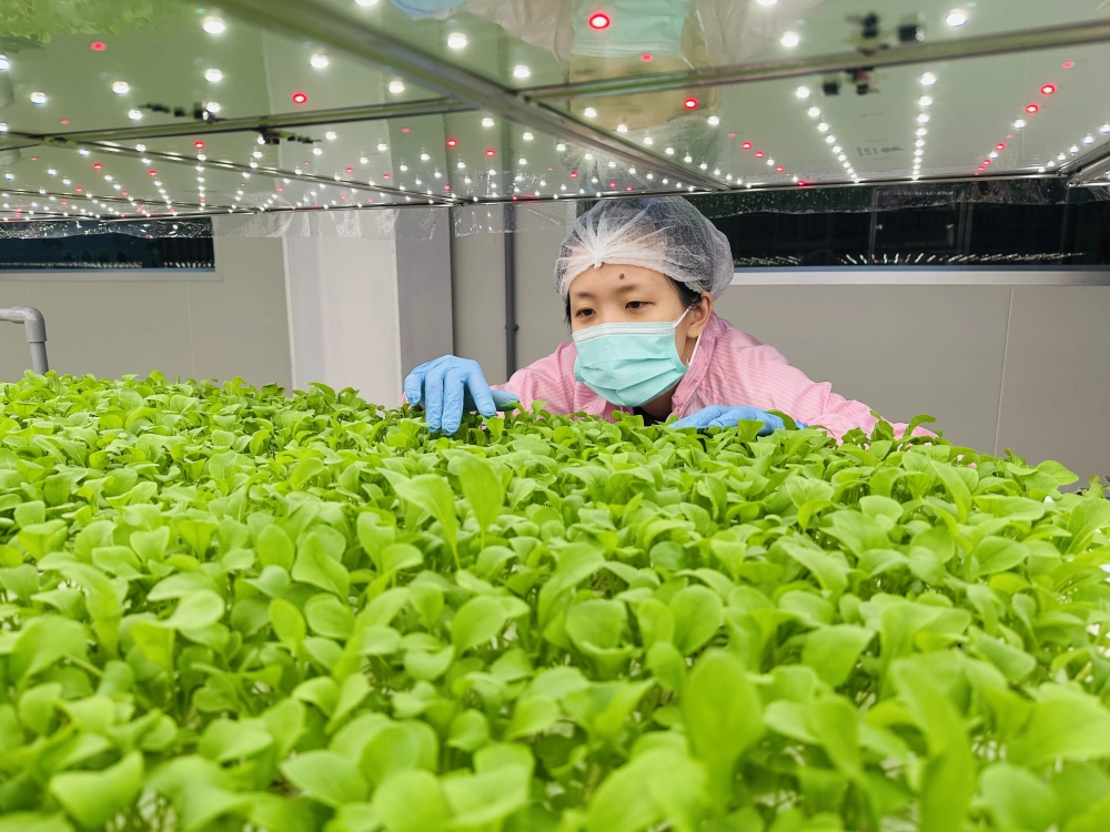 成長管理-巡場檢視