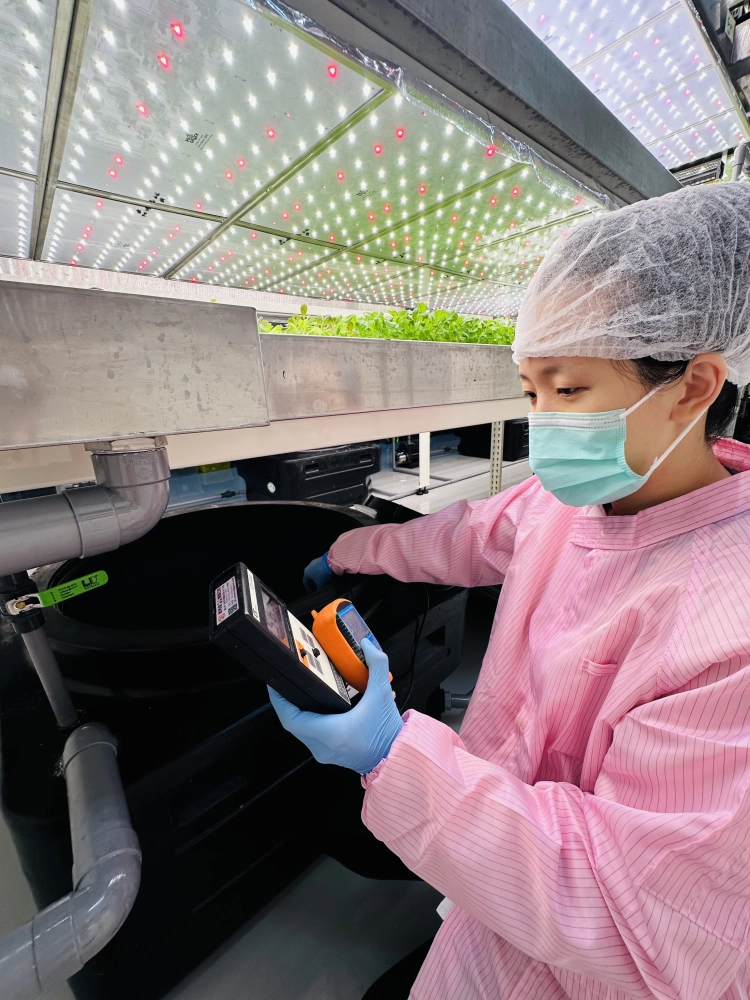 成長管理-測量檢視