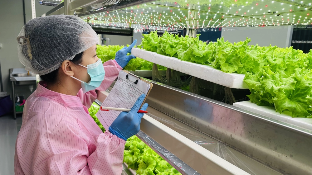 成長管理-巡場檢視