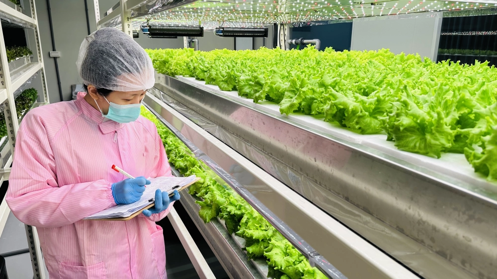 成長管理-測量檢視