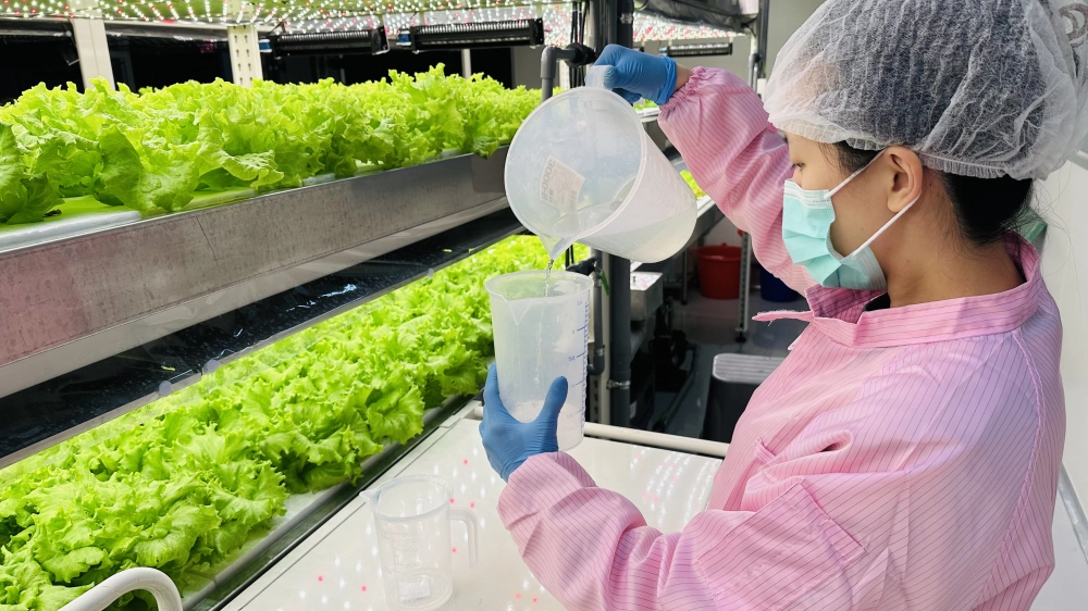 成長管理-測量檢視