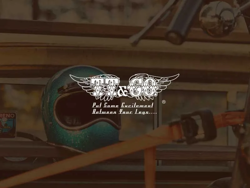 TT&CO. JAPAN 2015 PV Ride on chopper with original items