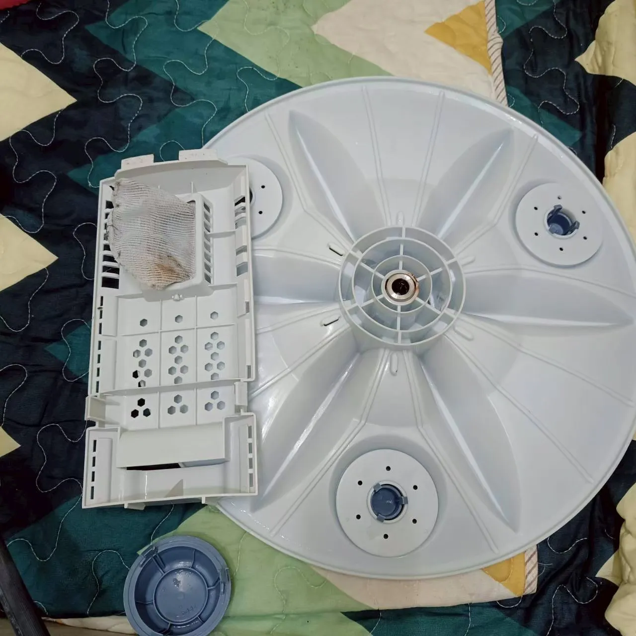 直立式洗衣機10