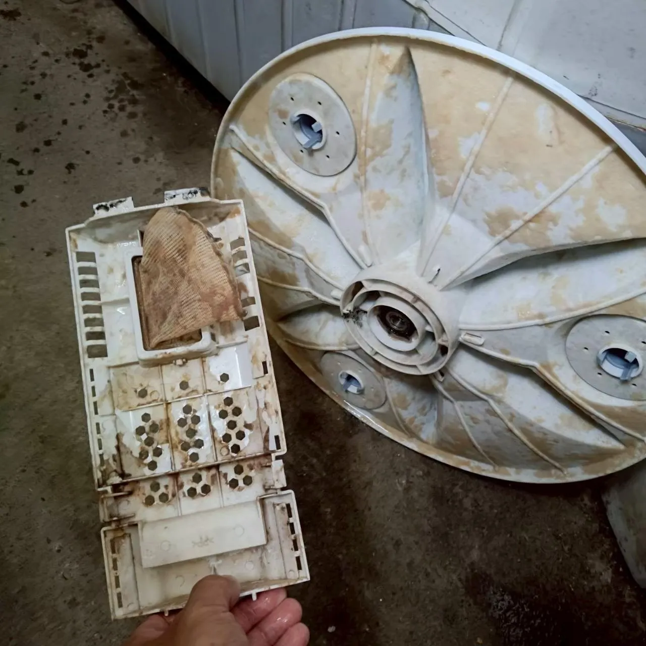 直立式洗衣機10