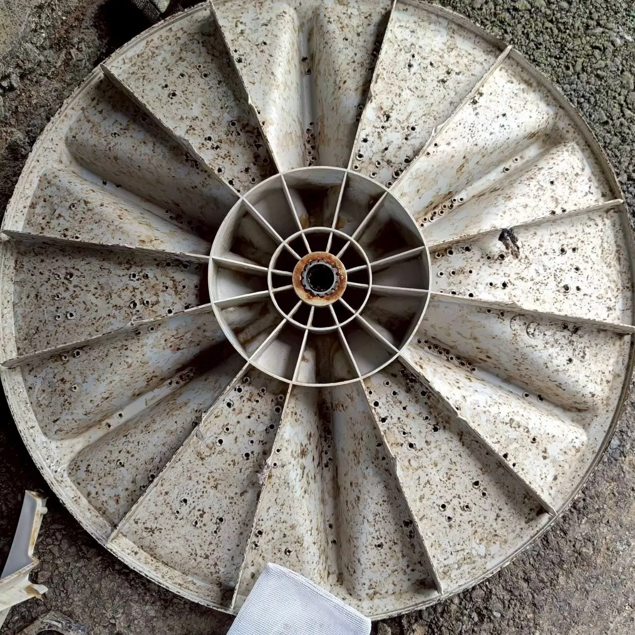 直立式洗衣機11