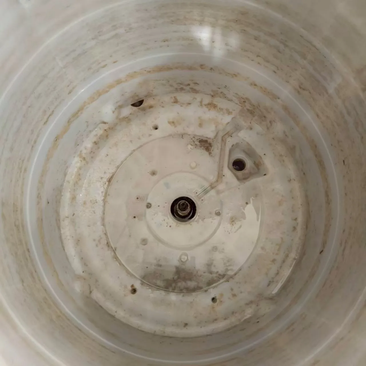 直立式洗衣機12