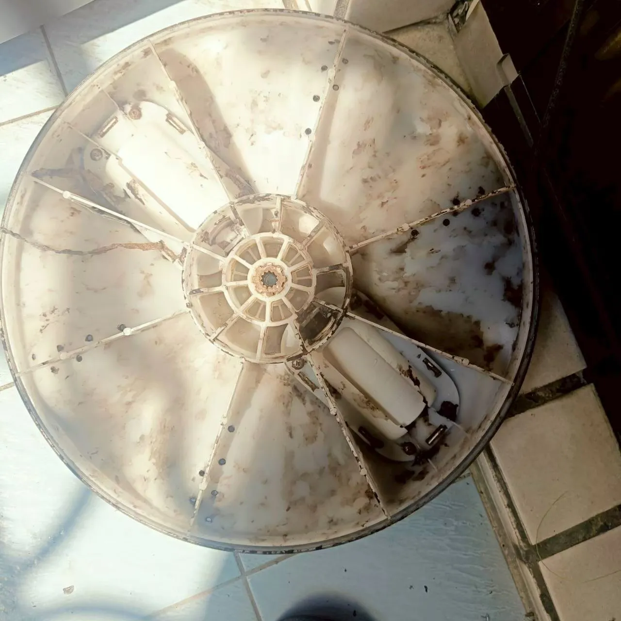 直立式洗衣機15