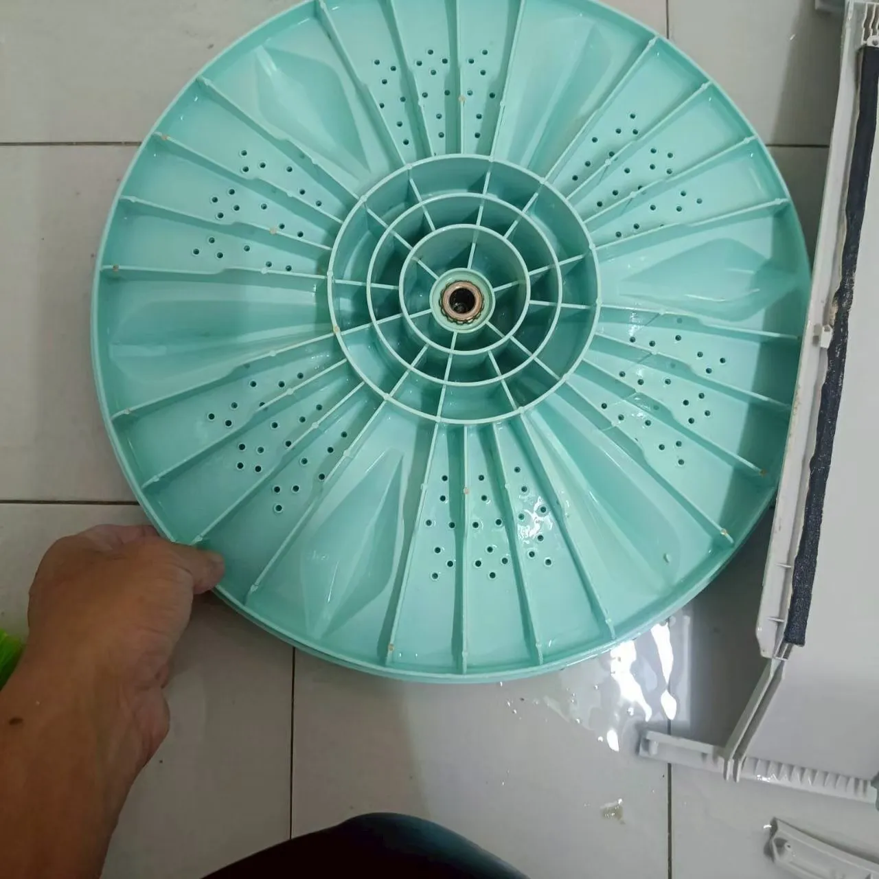 直立式洗衣機19