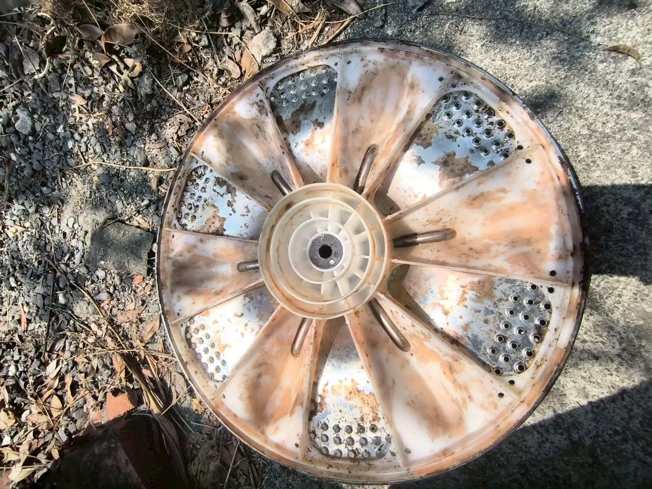 直立式洗衣機20