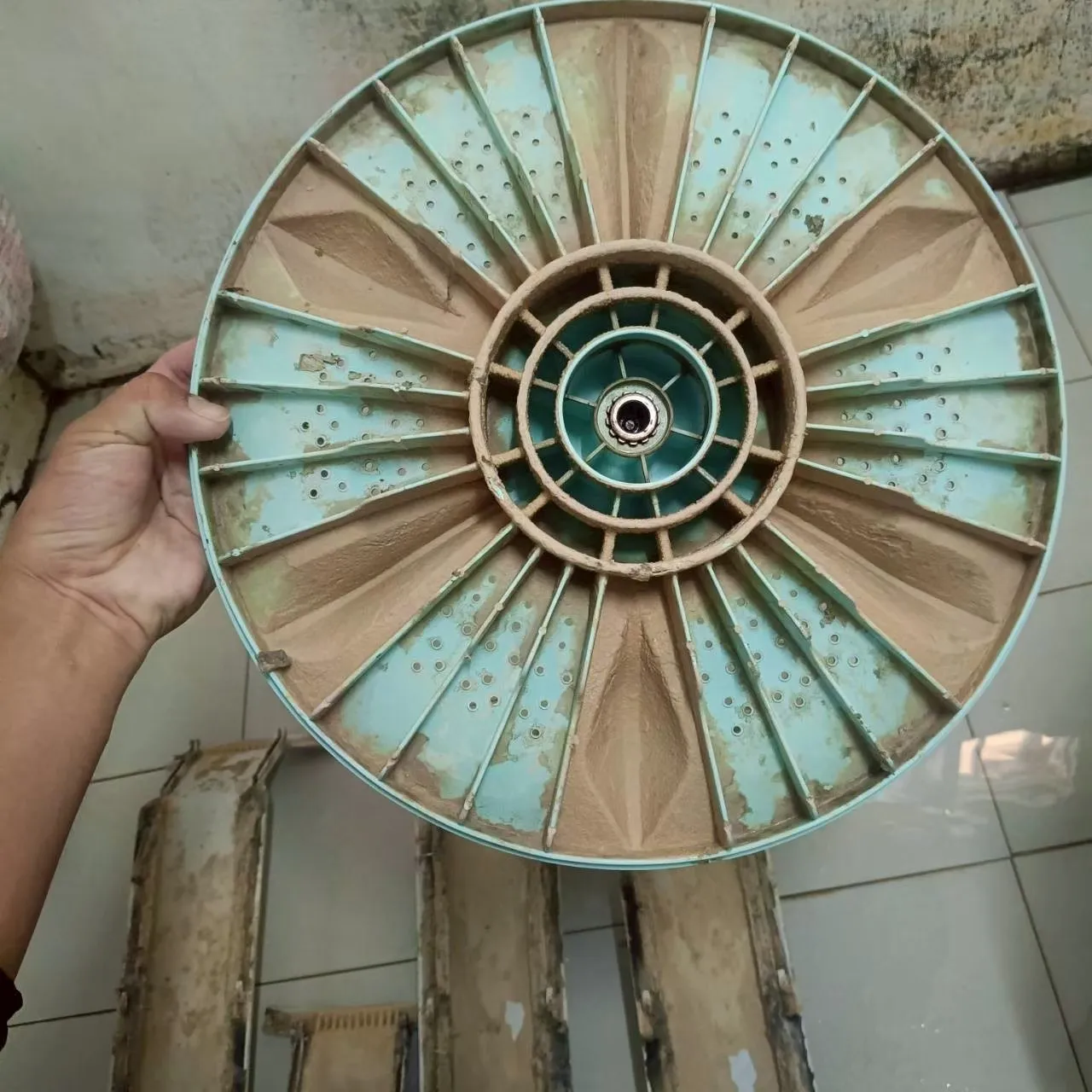 直立式洗衣機19