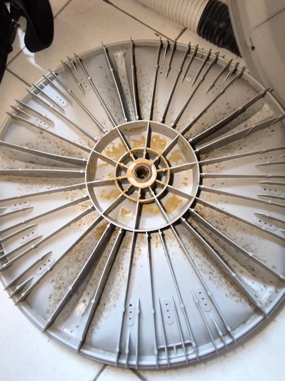 直立式洗衣機23