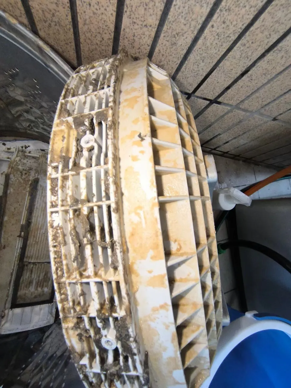 直立式洗衣機29