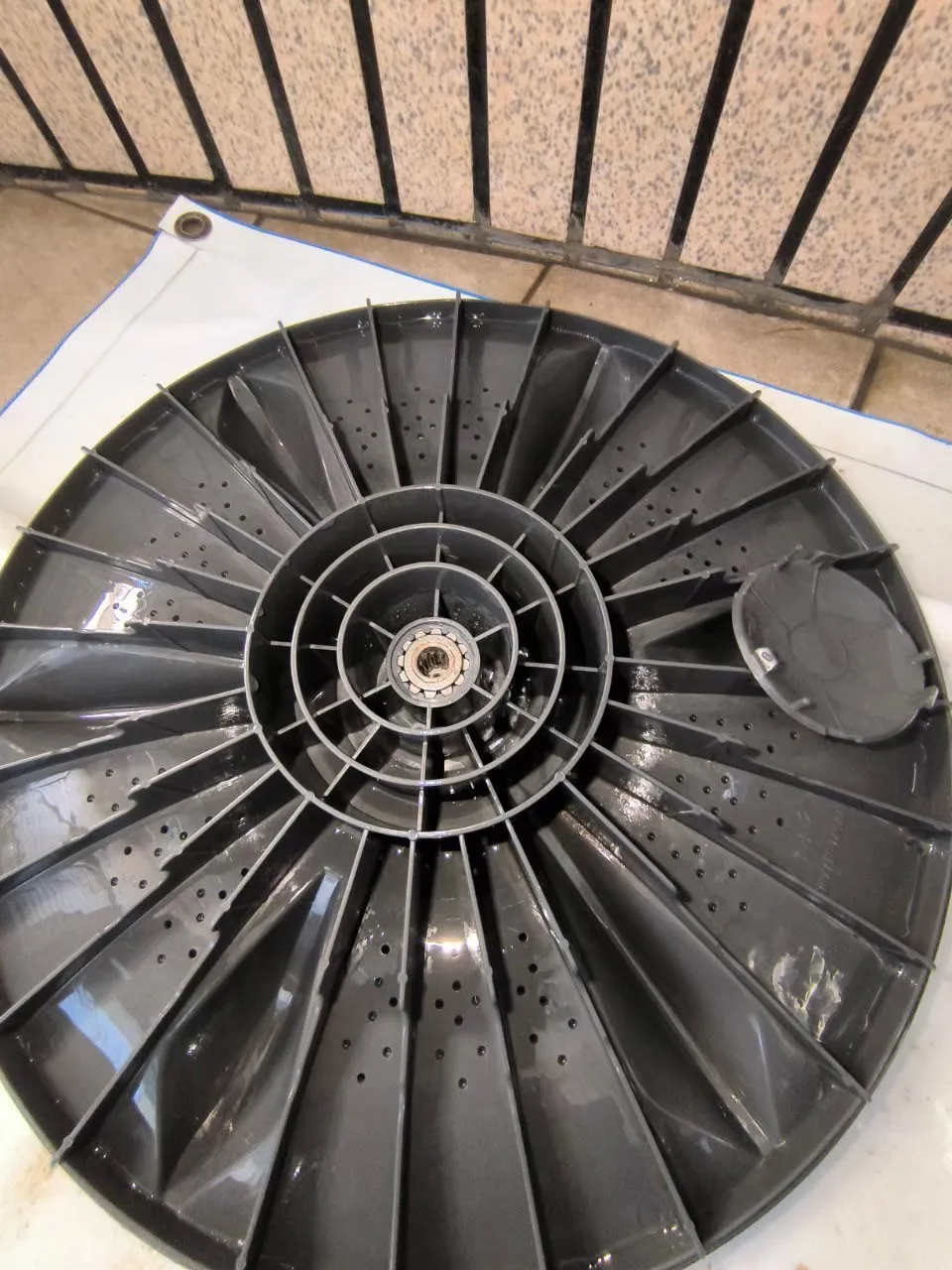 直立式洗衣機29