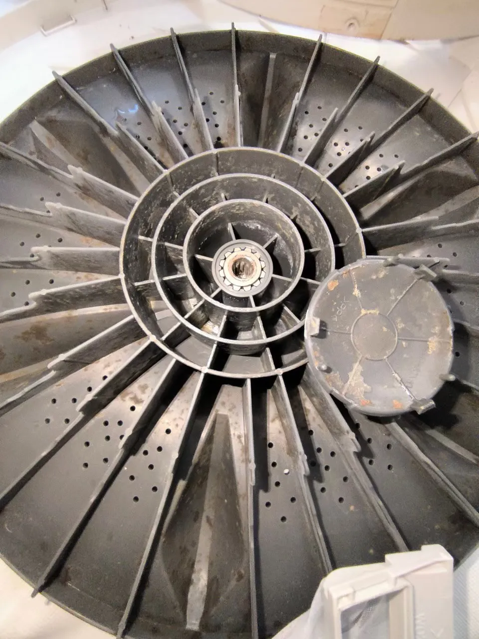 直立式洗衣機29