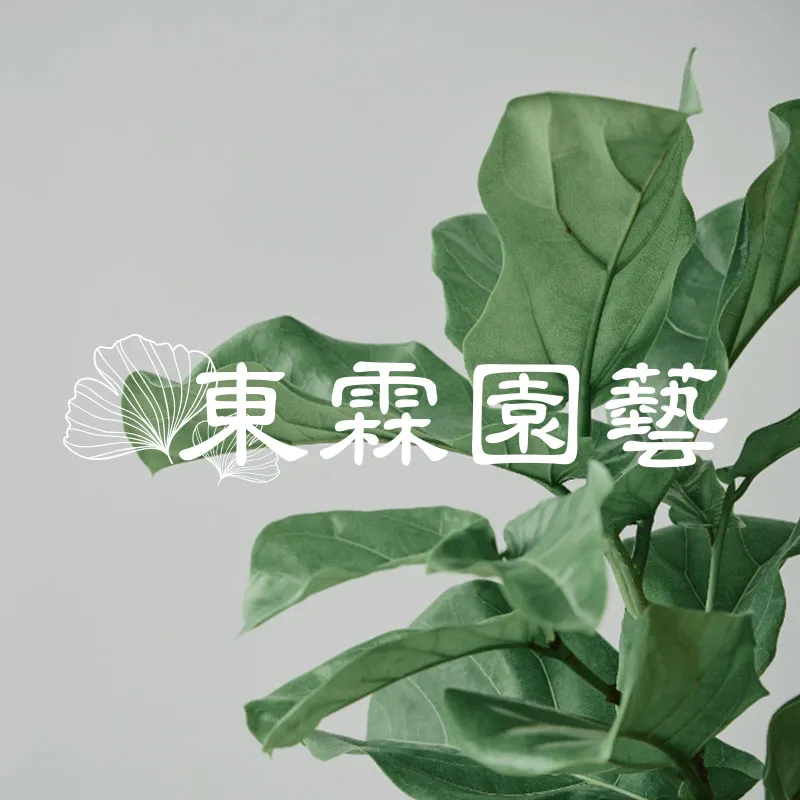 果苗冬天需要防寒嗎？低溫保護完整指南｜彰化果苗批發｜田尾果苗批發