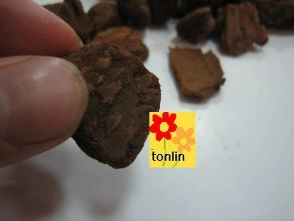 透水˙透氣˙適用美化盆栽**(樹皮)***50公升**